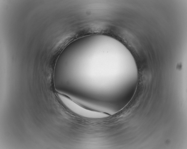 X0000090470505200707272301