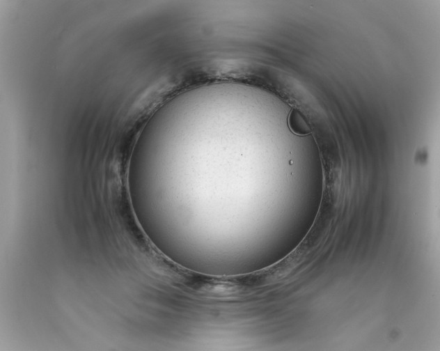 X0000090470506200707272301