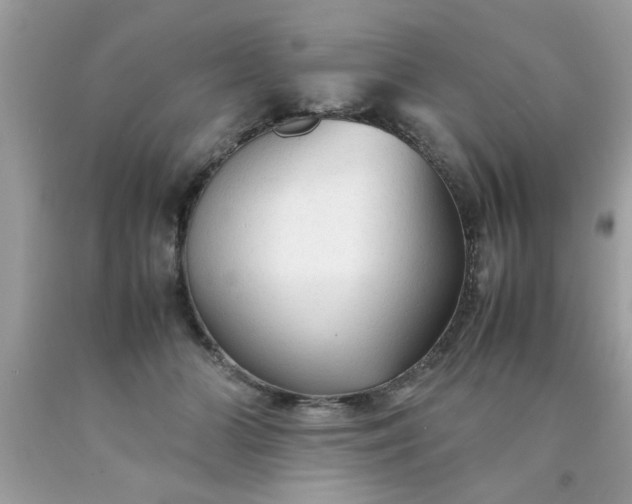 X0000090470510200707272301