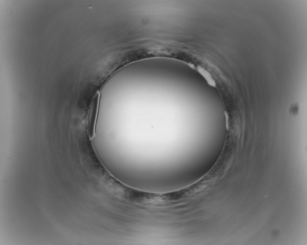 X0000090470513200707272301