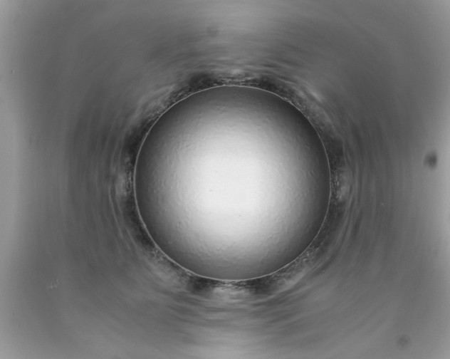 X0000090470515200707272301