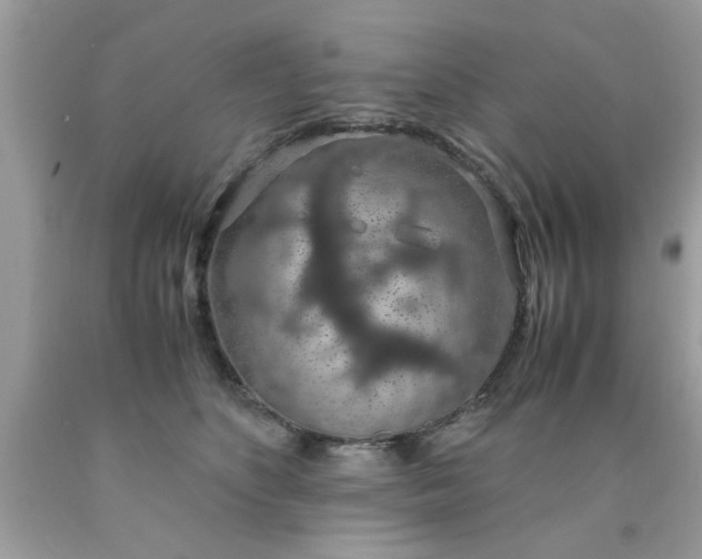 X0000090470516200707272301