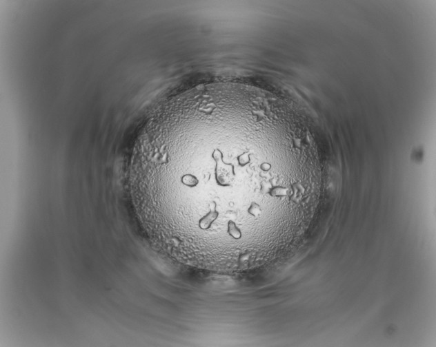 X0000090470519200707272301