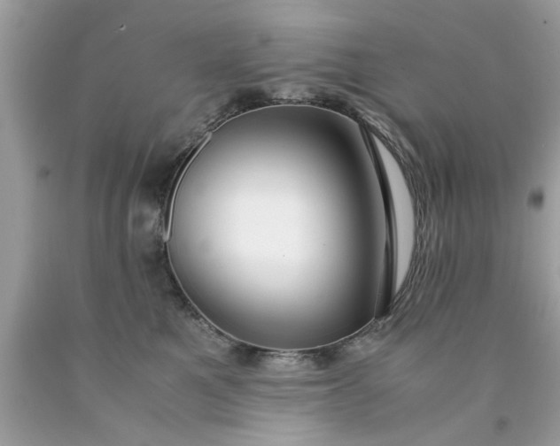 X0000090470521200707272301