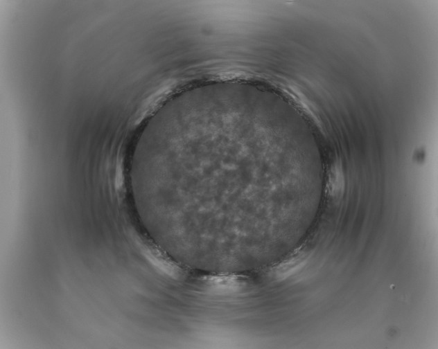 X0000090470524200707272301