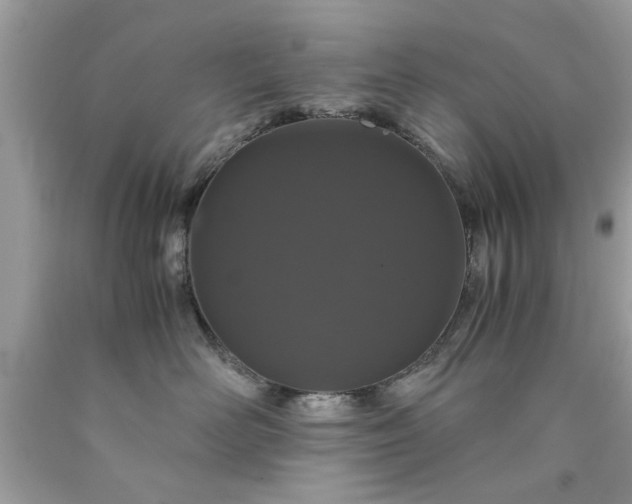 X0000090470526200707272301