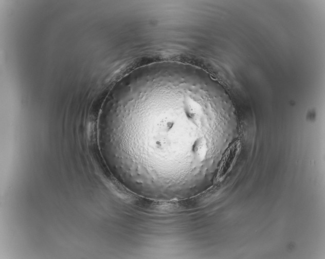 X0000090470527200707272301