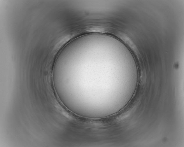 X0000090470529200707272300