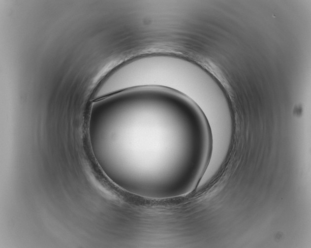 X0000090470530200707272300