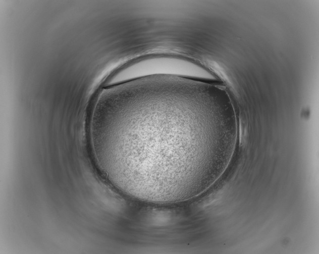 X0000090470531200707272300