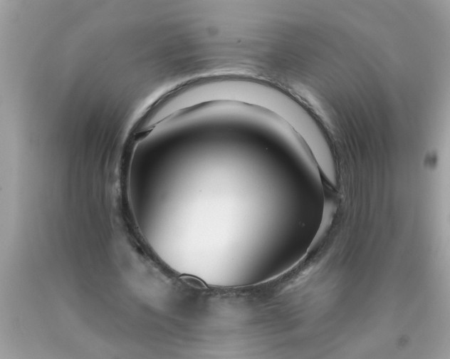 X0000090470532200707272300