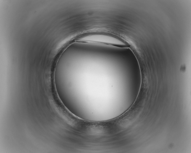 X0000090470535200707272300