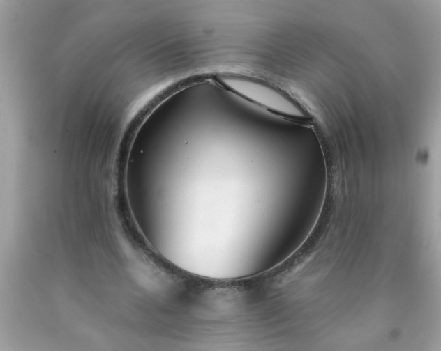 X0000090470536200707272300