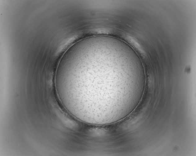 X0000090470537200707272300