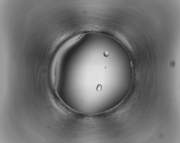 X0000090470538200707272300