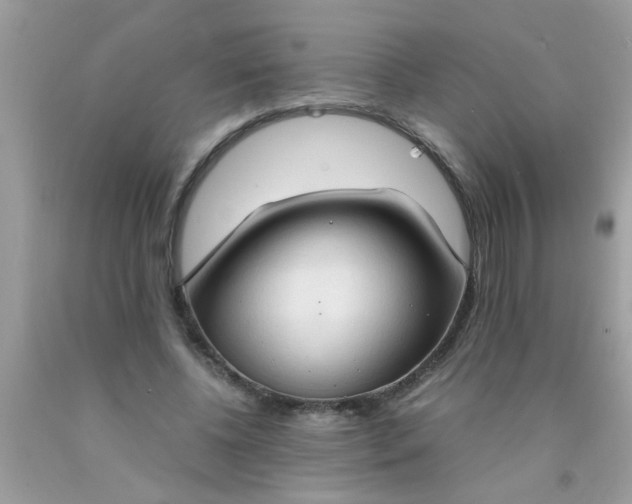 X0000090470540200707272300