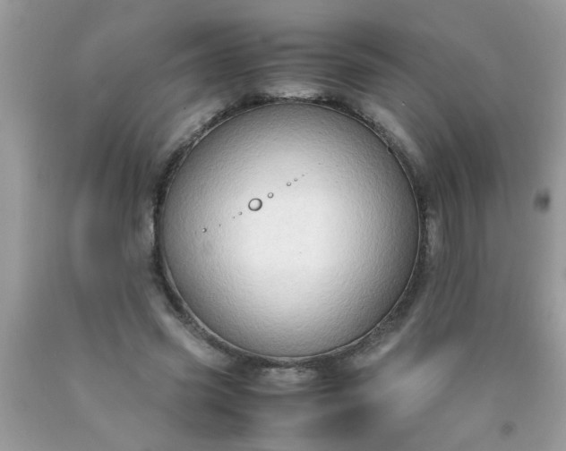 X0000090470541200707272300