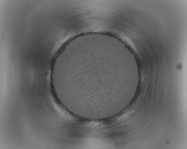 X0000090470542200707272300