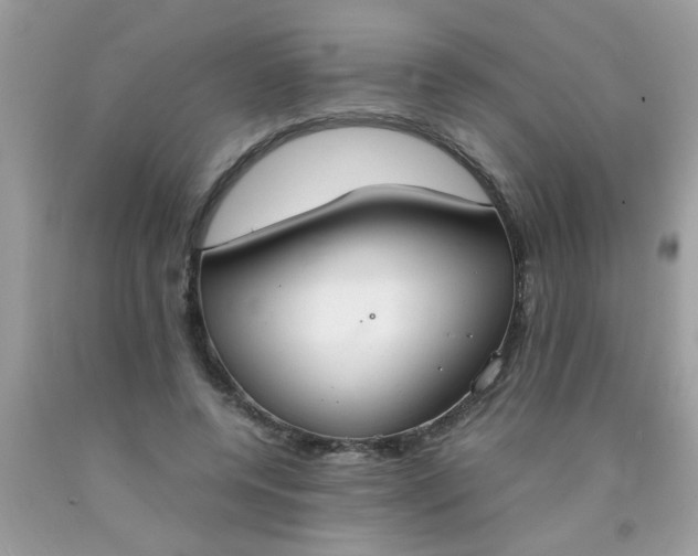 X0000090470544200707272300