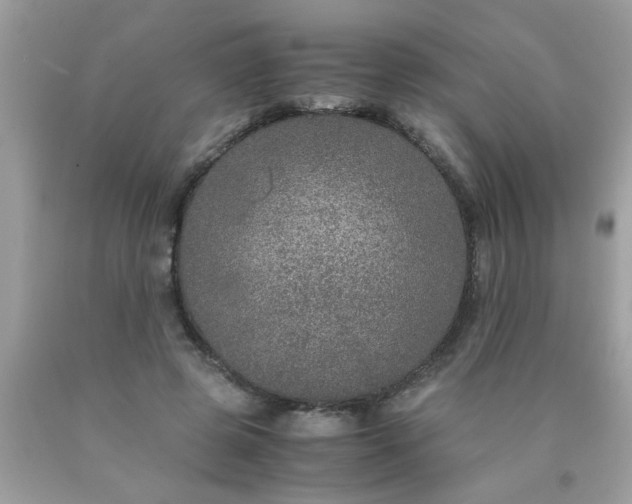 X0000090470545200707272300