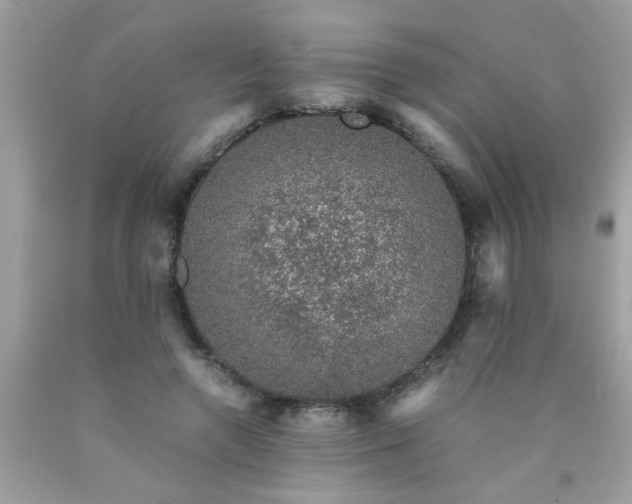 X0000090470546200707272300