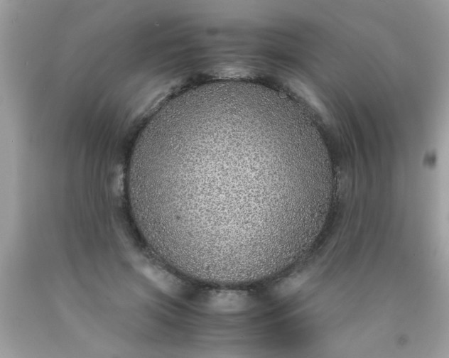 X0000090470549200707272300