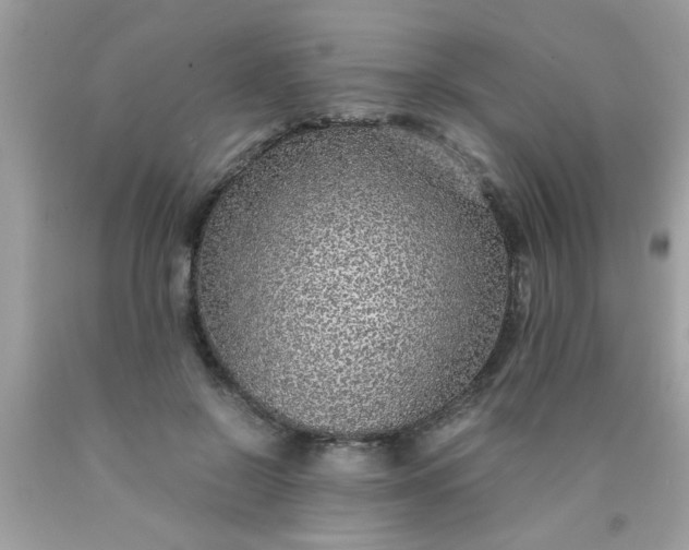 X0000090470550200707272300