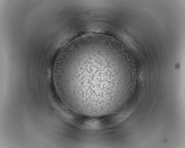 X0000090470551200707272300