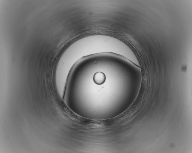 X0000090470552200707272300