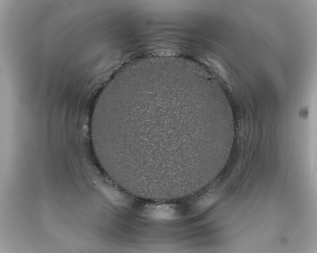 X0000090470553200707272300