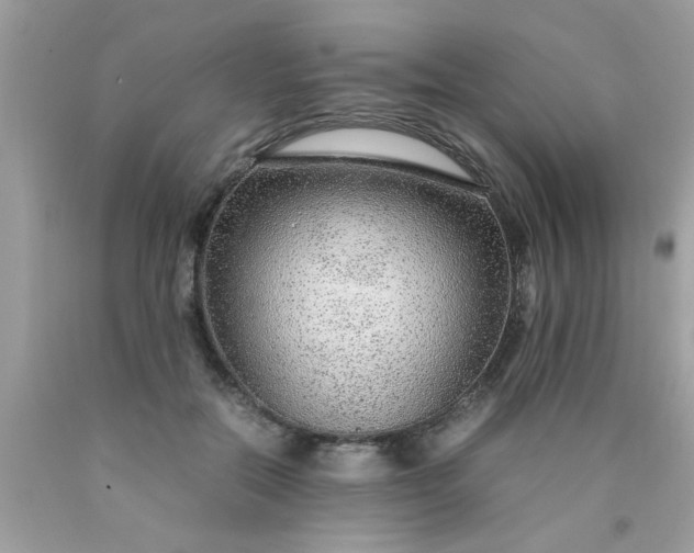 X0000090470554200707272300