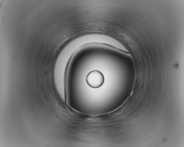 X0000090470556200707272300