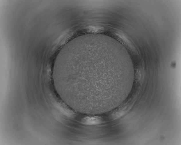 X0000090470557200707272300