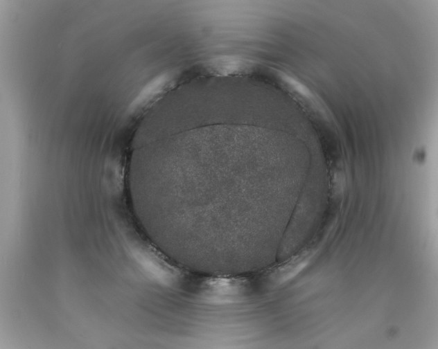 X0000090470558200707272300