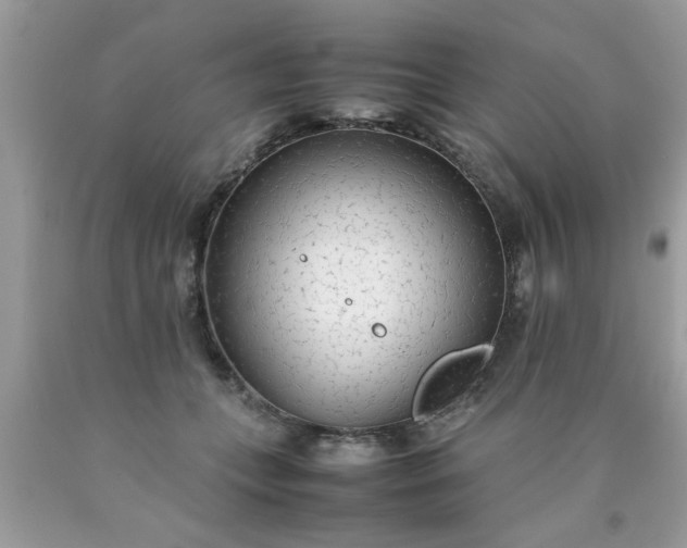 X0000090470559200707272300