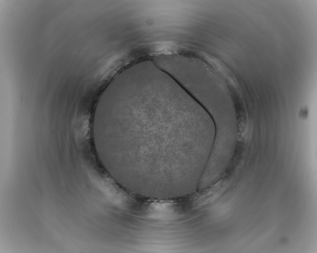 X0000090470560200707272300