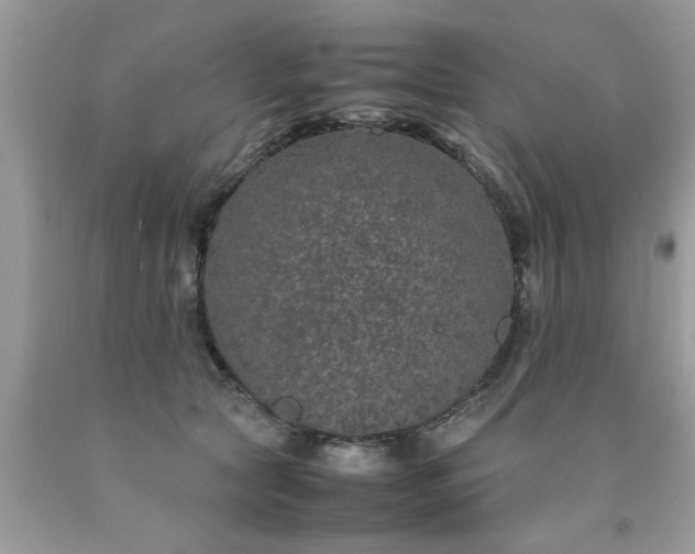 X0000090470561200707272300