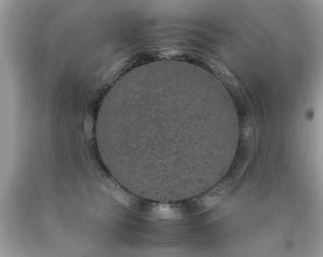 X0000090470565200707272300