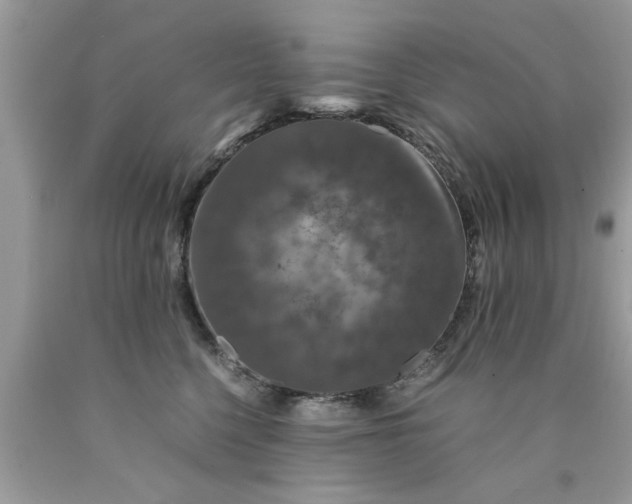 X0000090470568200707272301