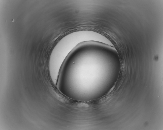 X0000090470572200707272301