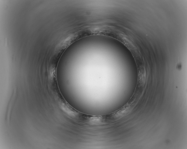 X0000090470574200707272301