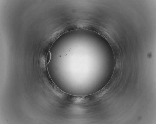 X0000090470575200707272301