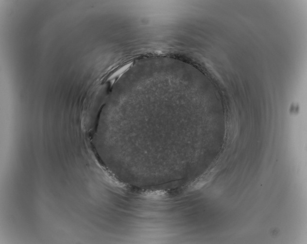 X0000090470576200707272301