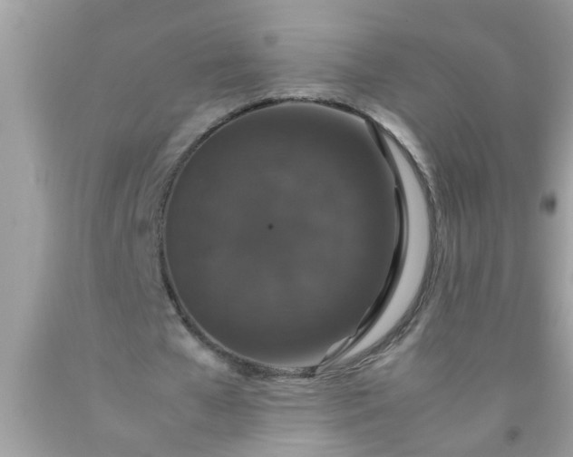 X0000090470577200707272300