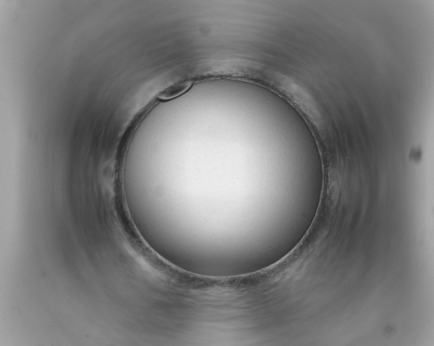 X0000090470578200707272300