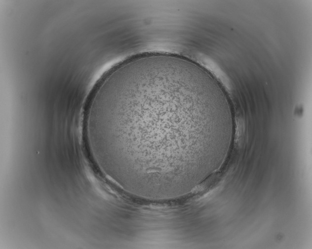 X0000090470580200707272300