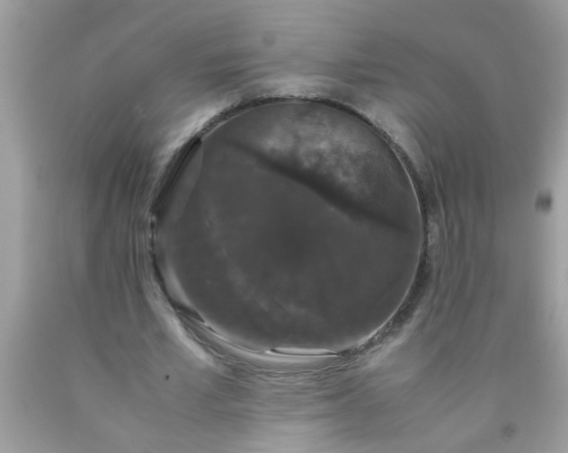 X0000090470581200707272300