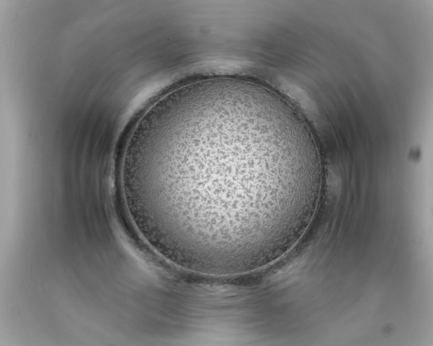 X0000090470582200707272300