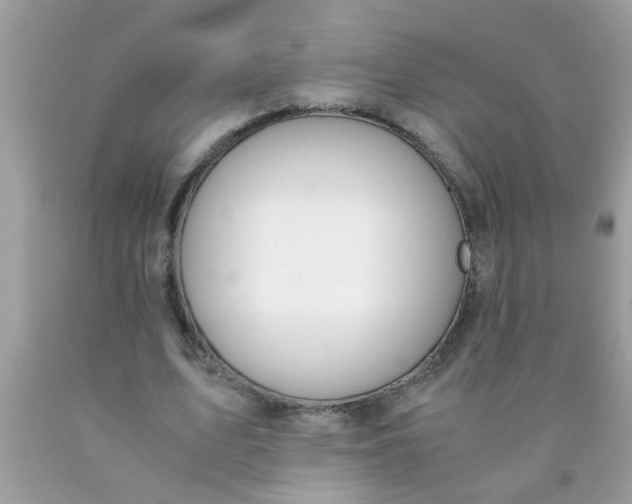 X0000090470583200707272300