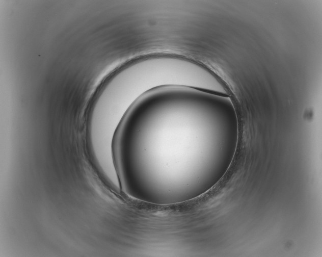 X0000090470584200707272300